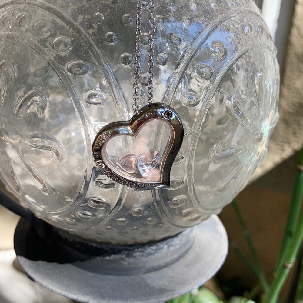 Nwot heart necklace